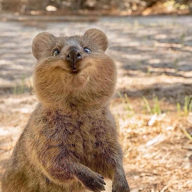  .....fervor   'recent posts' 