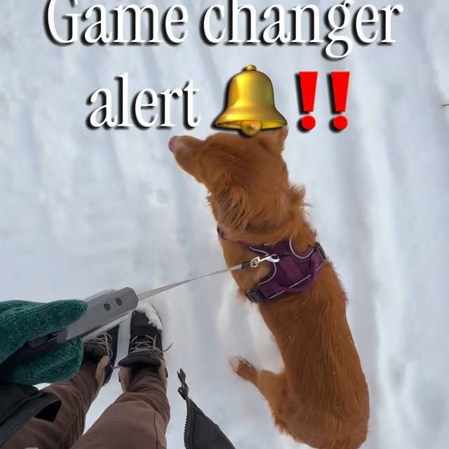  ......atoller   'recent posts' 