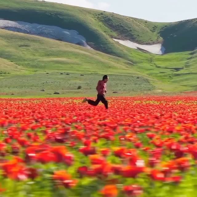  ......promo   'recent posts' 