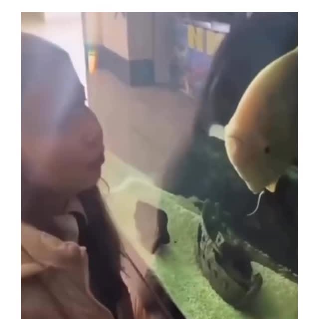  ......marino   'recent posts' 