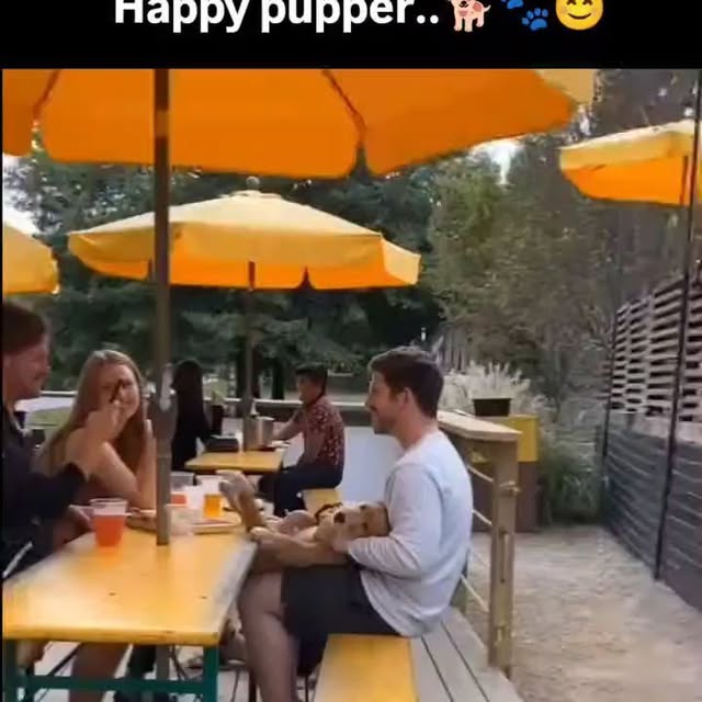  .....ibess   'recent posts' 