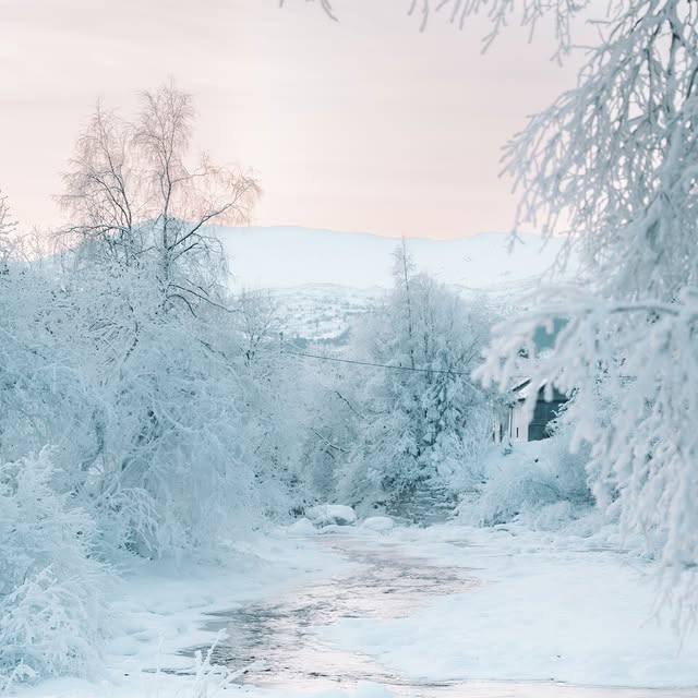  ....ayraw   'recent posts' 