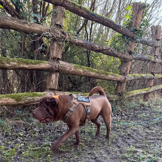  ......i.world   'recent posts' 