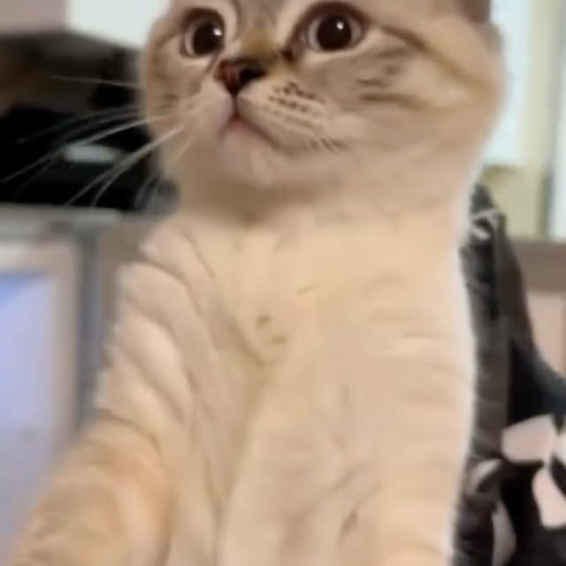  ...sjpg   'recent posts' 