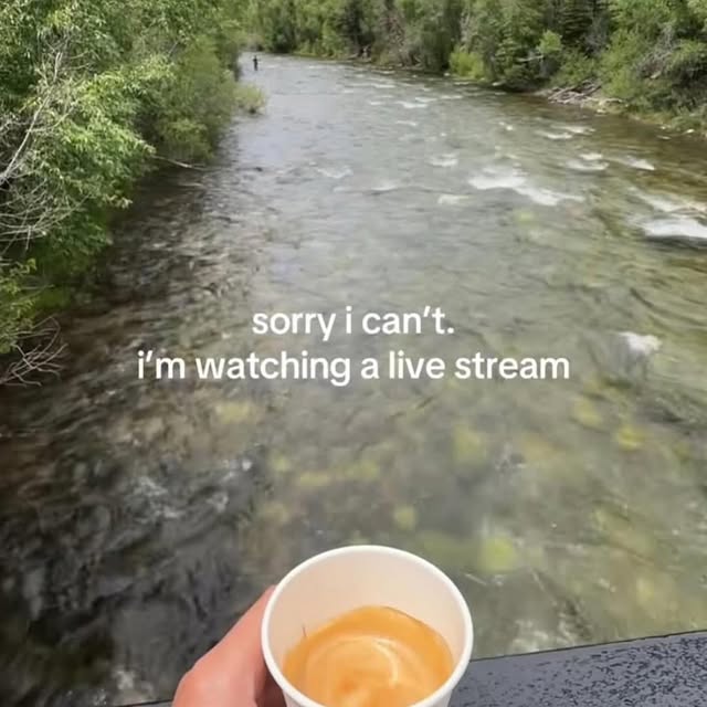  ....world   'recent posts' 