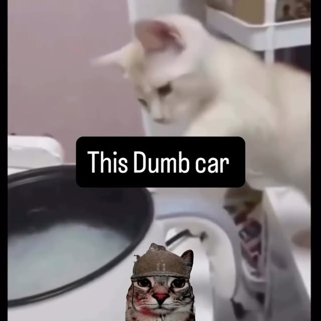  ....eowsy   'recent posts' 