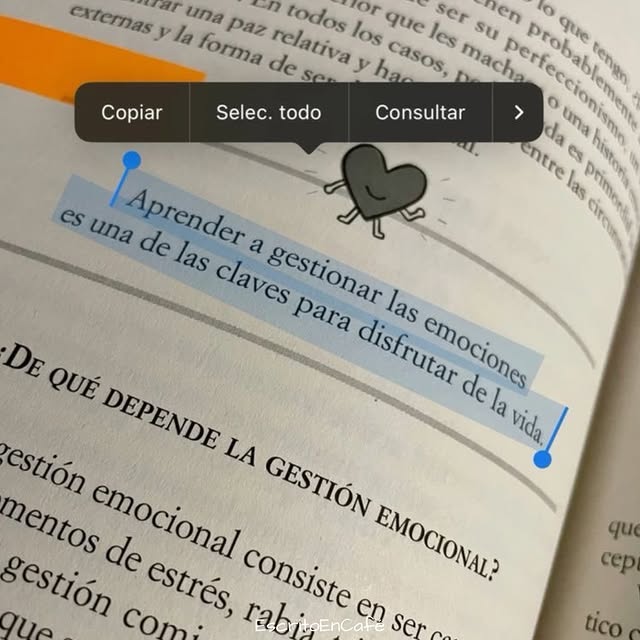  ......oencafe   'recent posts' 