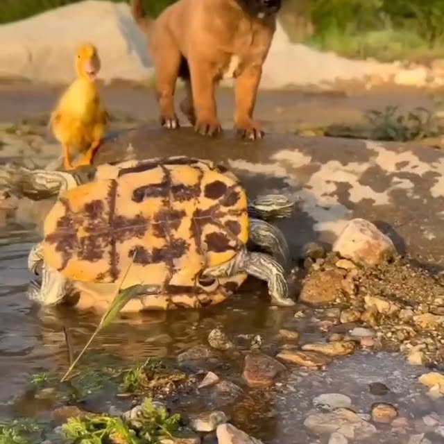  .....evault   'recent posts' 