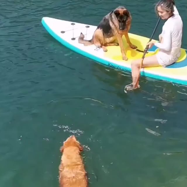  ......onsvibe   'recent posts' 