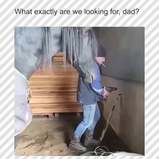  ......_viralz   'recent posts' 