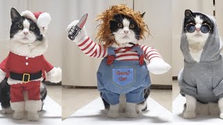  ....usic  'recent videos' 