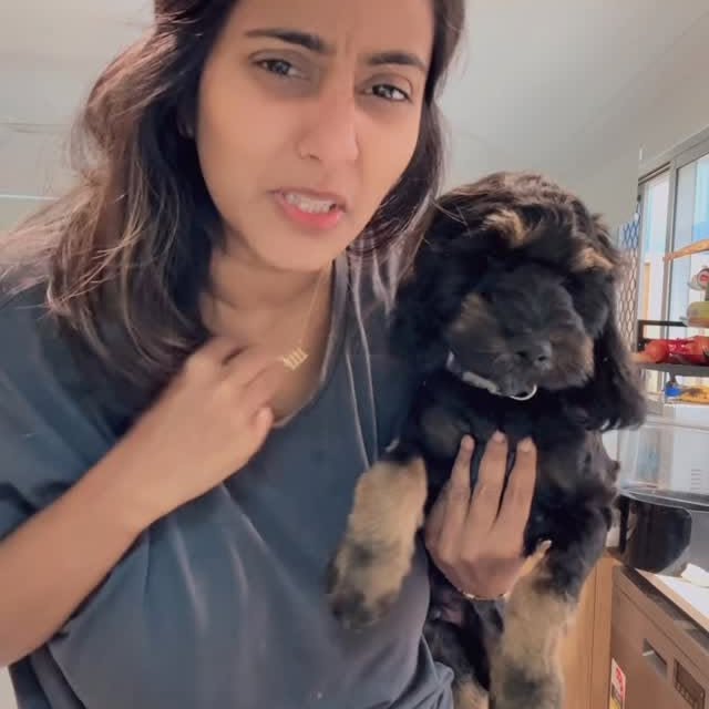  .........vadanvita   'recent posts' 