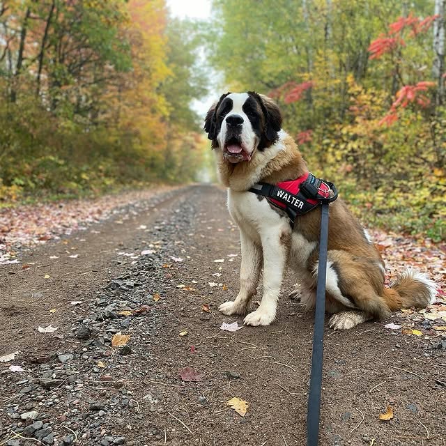  .........intbernard   'recent posts' 