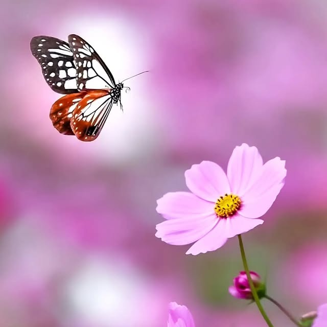  ........vacations   'recent posts' 