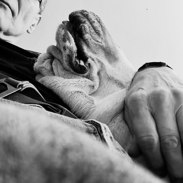  ......rwhite   'recent posts' 