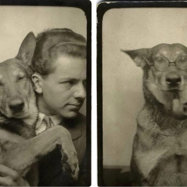  ....eird   'recent posts' 