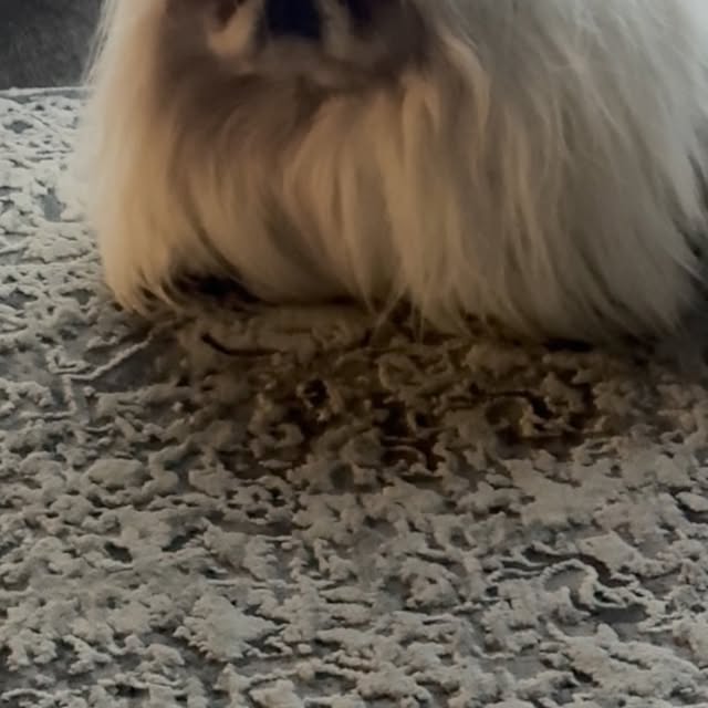  ........attandsam   'recent posts' 