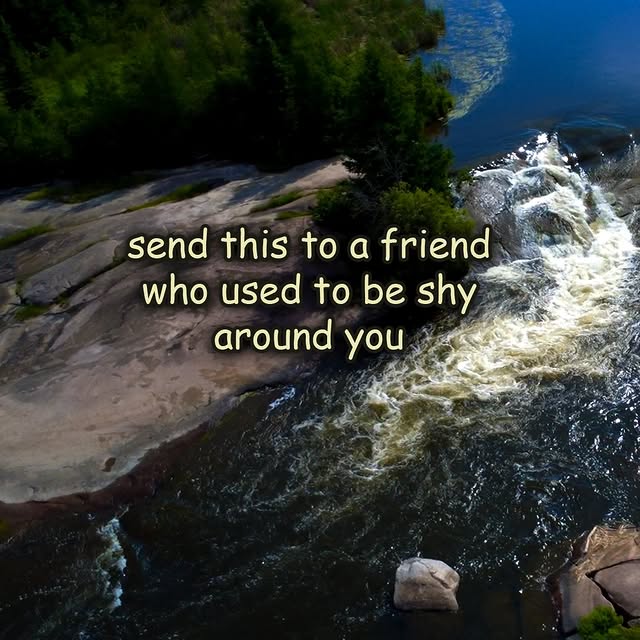  .....slv   'recent posts' 