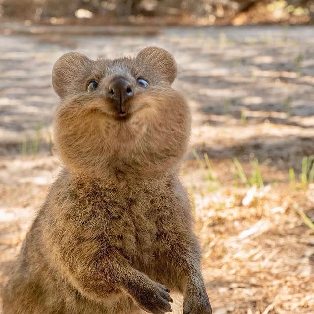  .......rfervor   'recent posts' 