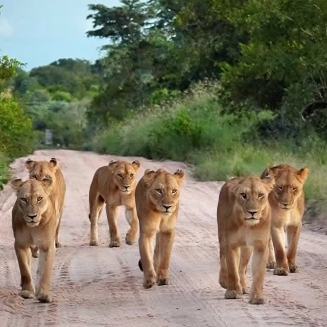  .........._sightings   'recent posts' 