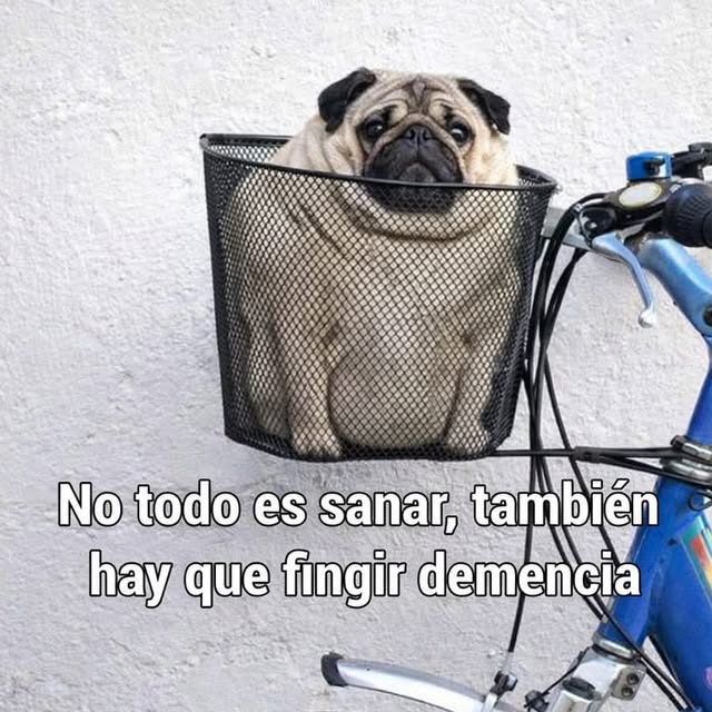  .....nanzis   'recent posts' 