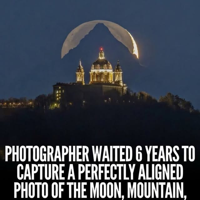  ......erfever   'recent posts' 