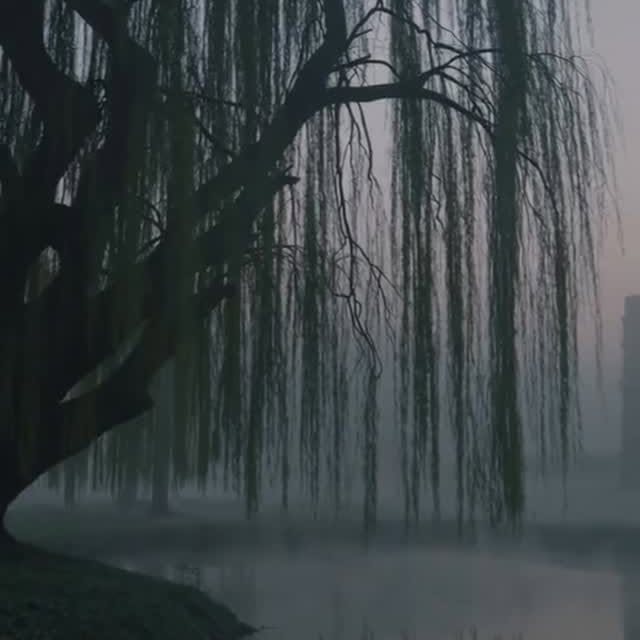  .....coreig   'recent posts' 