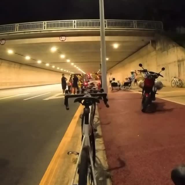  .....nimals   'recent posts' 