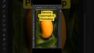  ....hNest  'recent videos' 