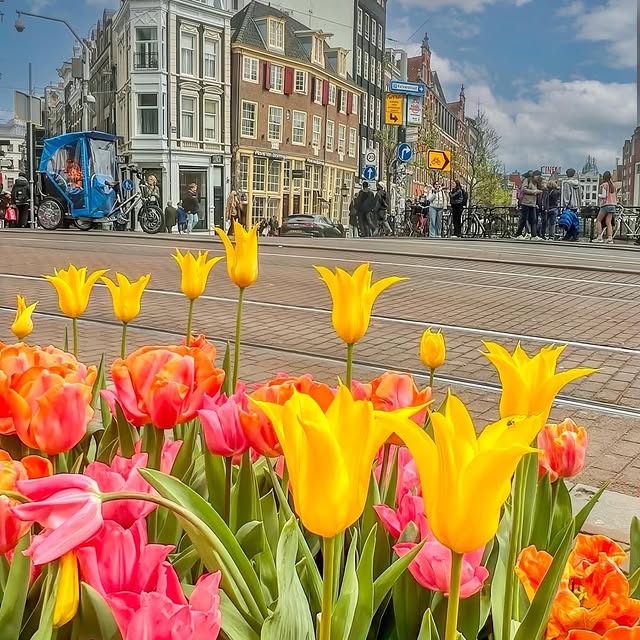  .......amworld   'recent posts' 