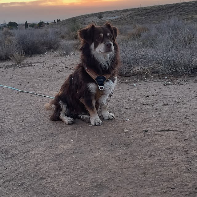  .....og2020   'recent posts' 