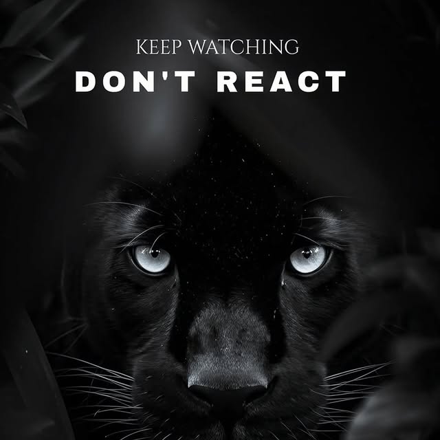  ........sic_vibe   'recent posts' 