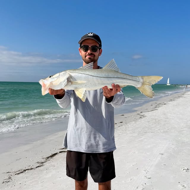  ........sfishing   'recent posts' 