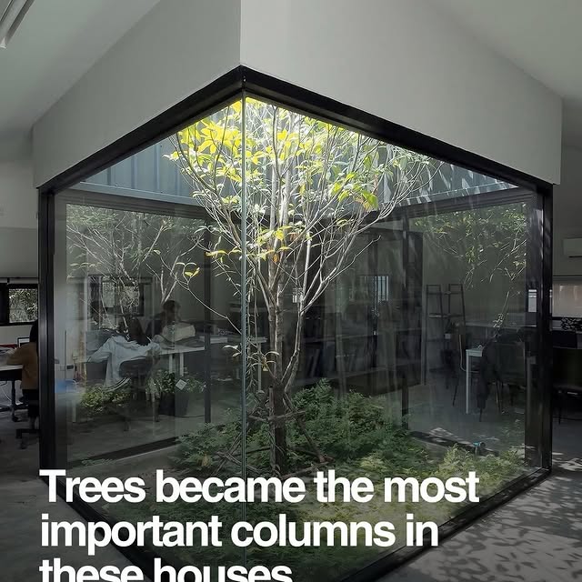  .......rfervor   'recent posts' 