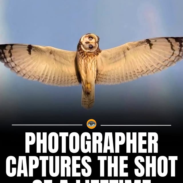  .......fcolors   'recent posts' 