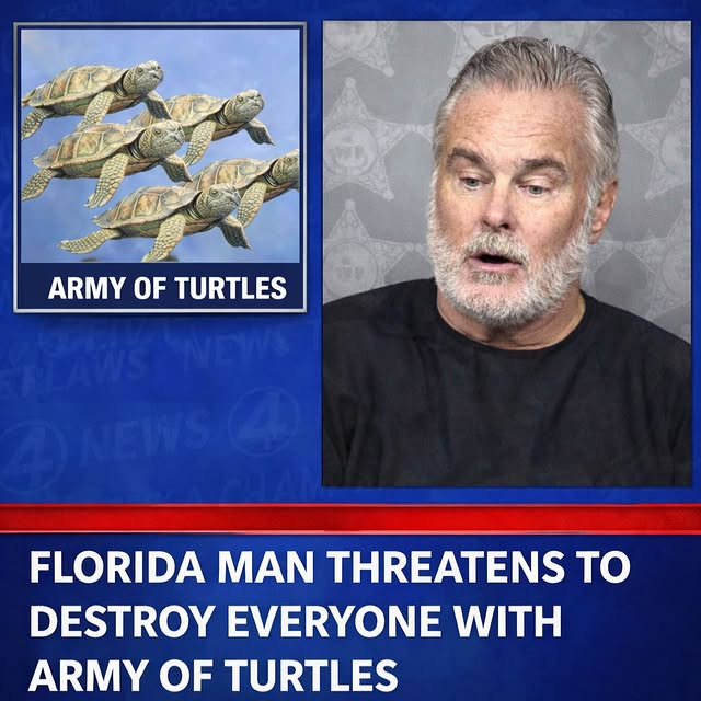  ........ndydaily   'recent posts' 