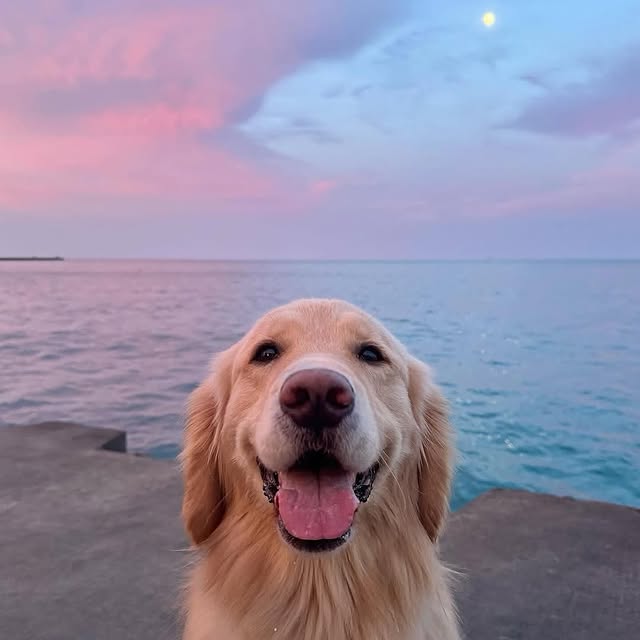  ......erfever   'recent posts' 