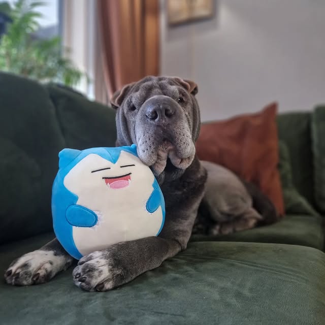  ......i.world   'recent posts' 