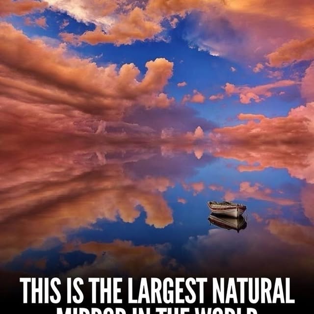  ......fervor   'recent posts' 