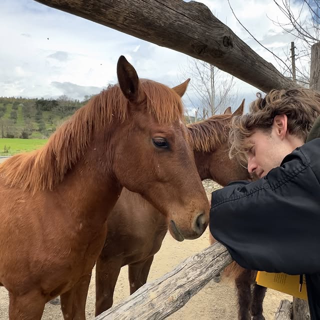  ......ikovani   'recent posts' 