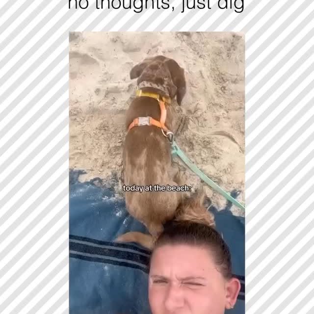  .....pawsz   'recent posts' 