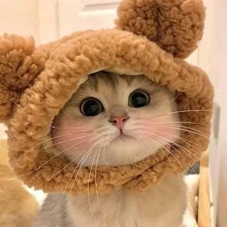 Hire .......world.in influencer with 19.4k