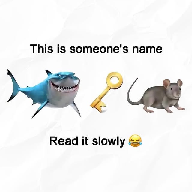  .......insreels   'recent posts' 