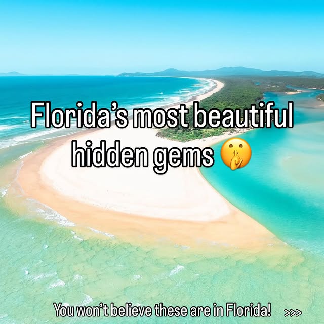  .....lorida   'recent posts' 