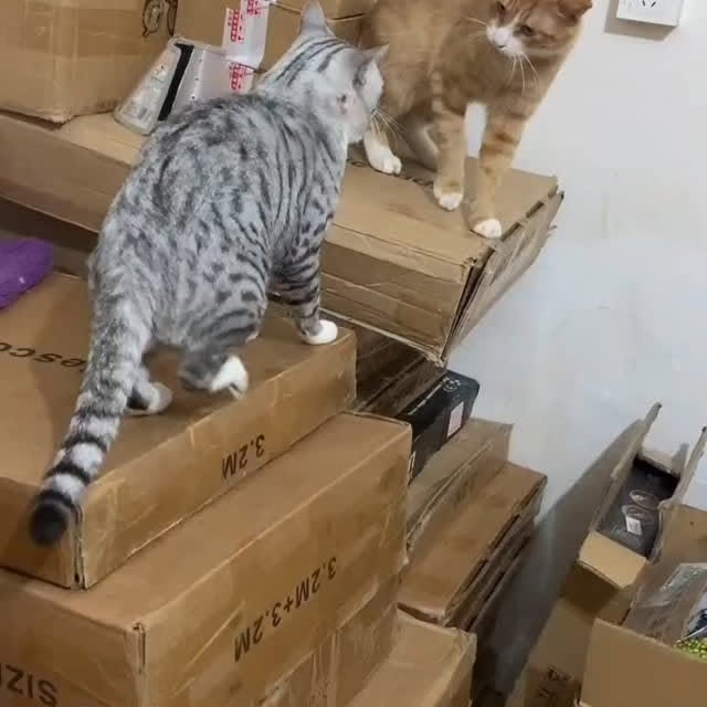  ....retie   'recent posts' 