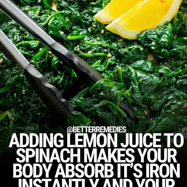  .....lvibee   'recent posts' 