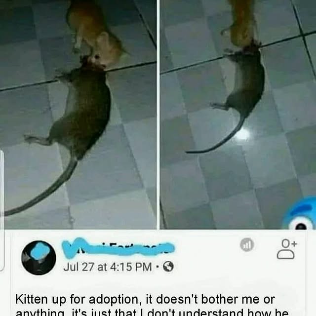  ......reguide   'recent posts' 