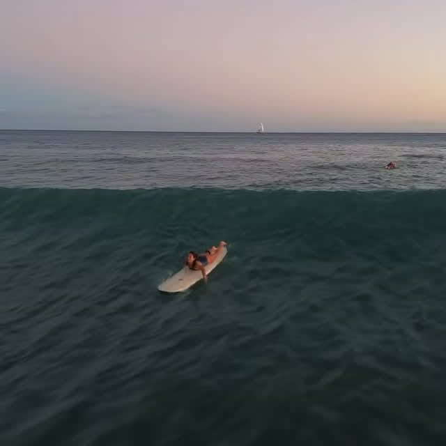  .....nique   'recent posts' 