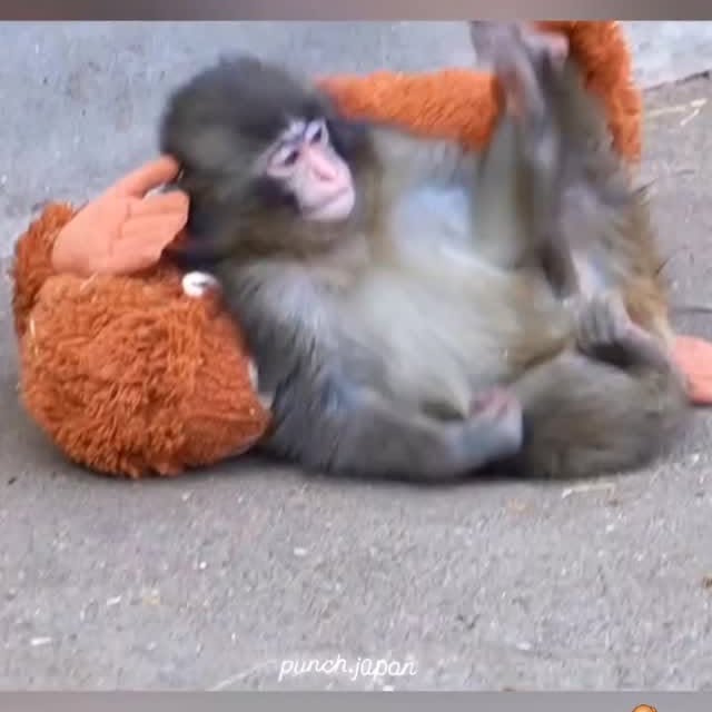  .......festory   'recent posts' 