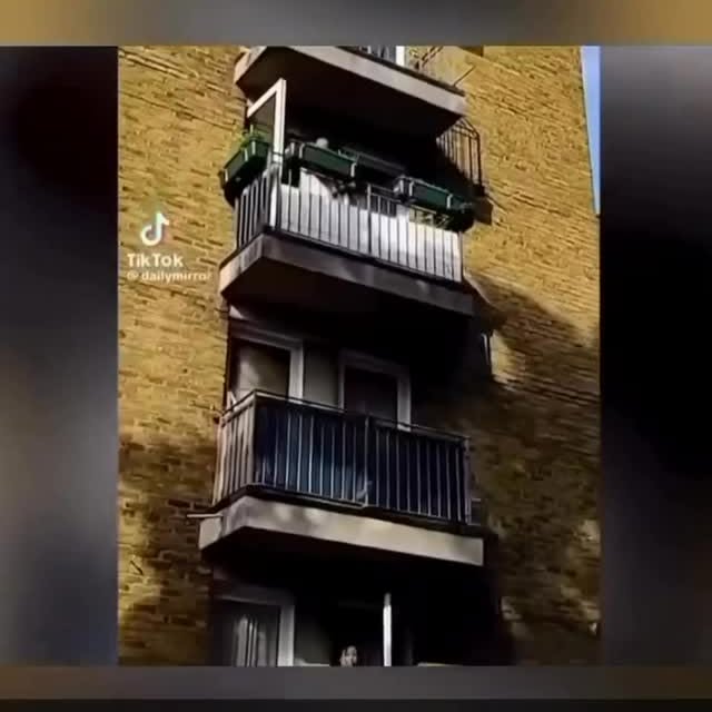  ..........gettinghurt   'recent posts' 